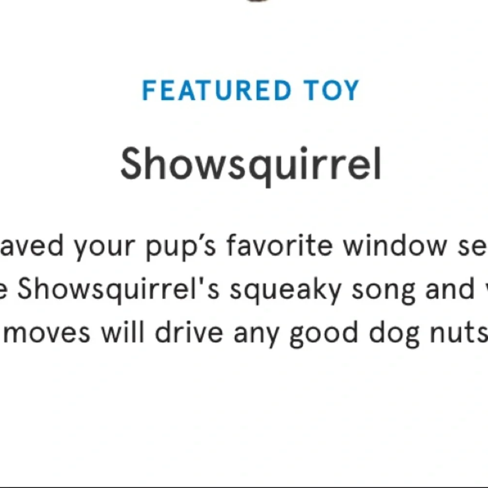 🏆HP🏆 2/$15 Eligible NWT Showsquirrel Bark Dog Toy